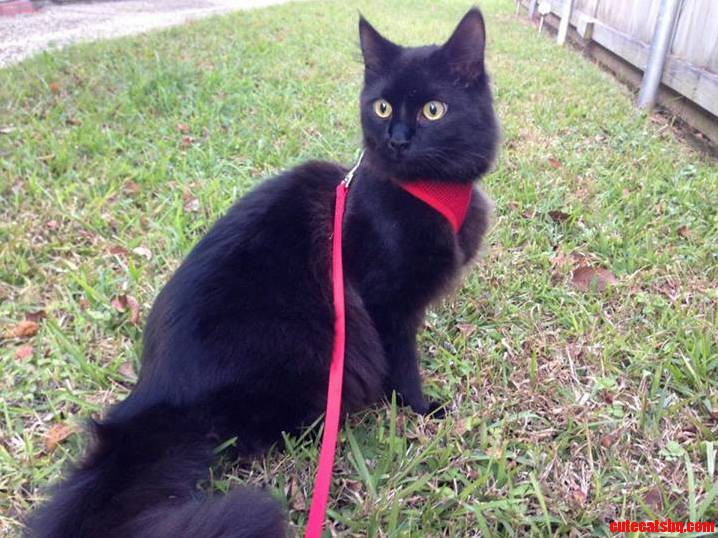 Exploring the Great Outdoors