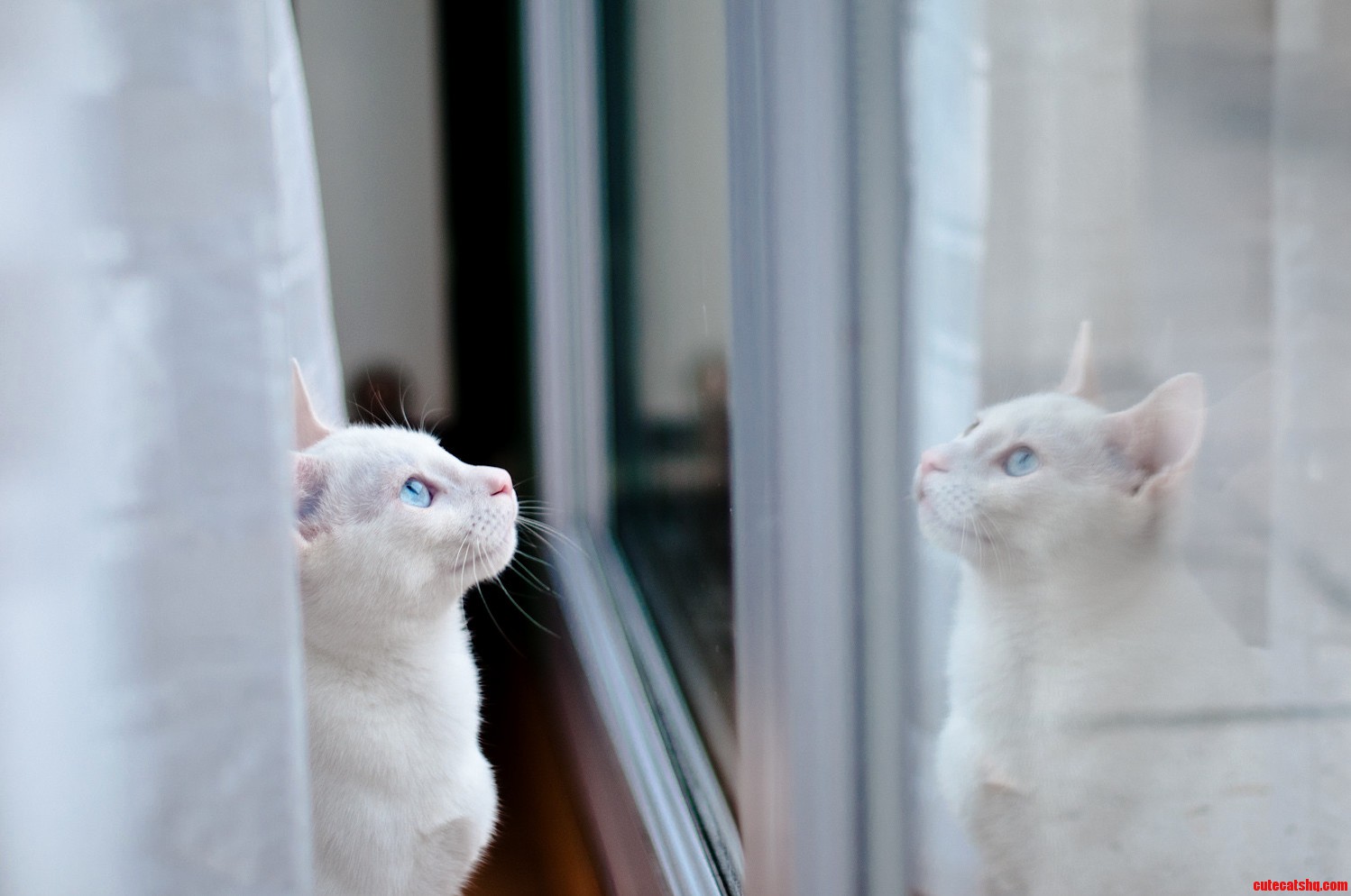 First Time When He Saw Snow. He Was So Excited.