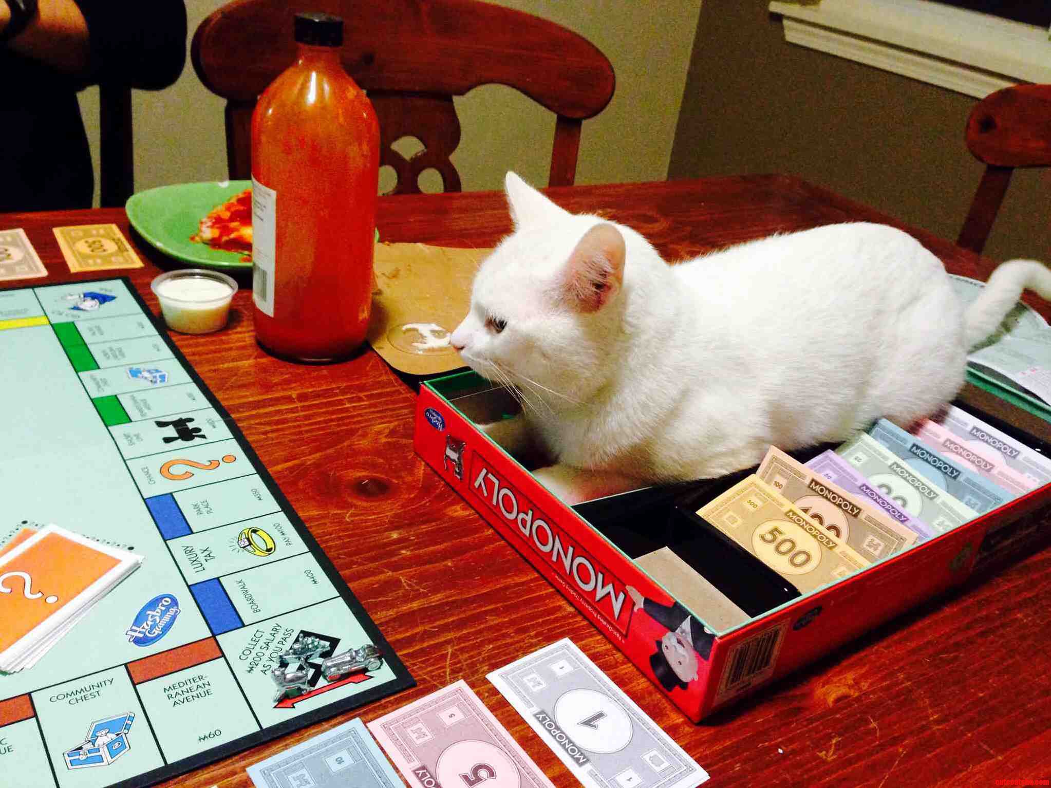 Found a Volunteer to Be the Banker.