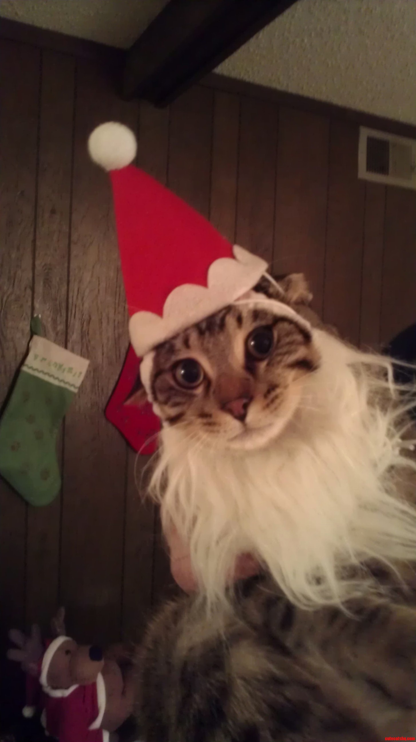 Frankenstein Is Really Getting Into the Christmas Spirit