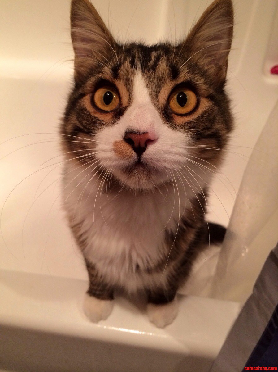 Franklin Likes to Bother Me While Im in the Bathroom.