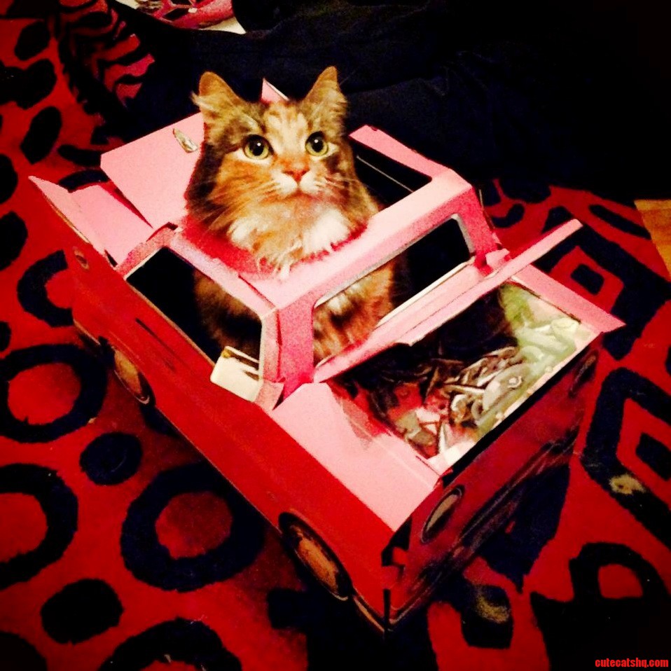 Gaga in Her Catillac