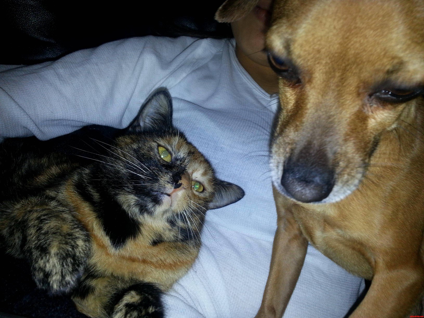 Get Outta My Face