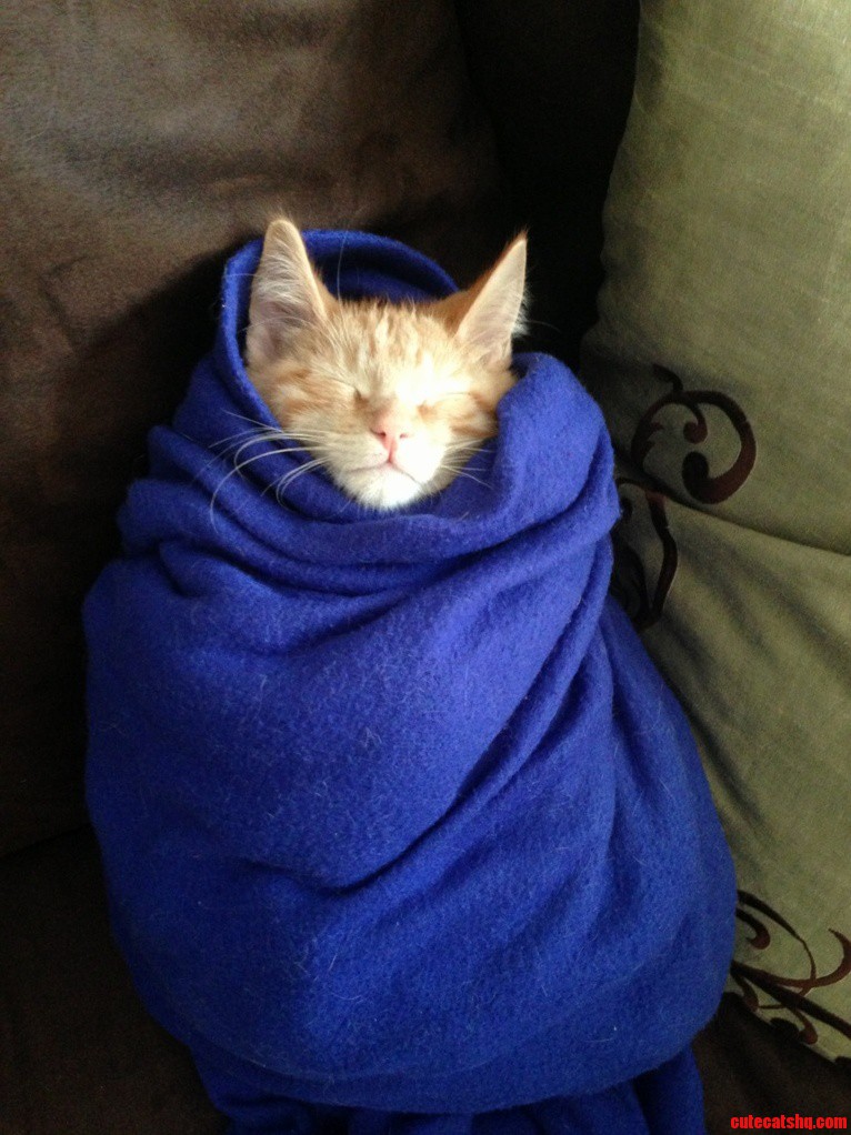 Getting Some Use Out of the Snuggie