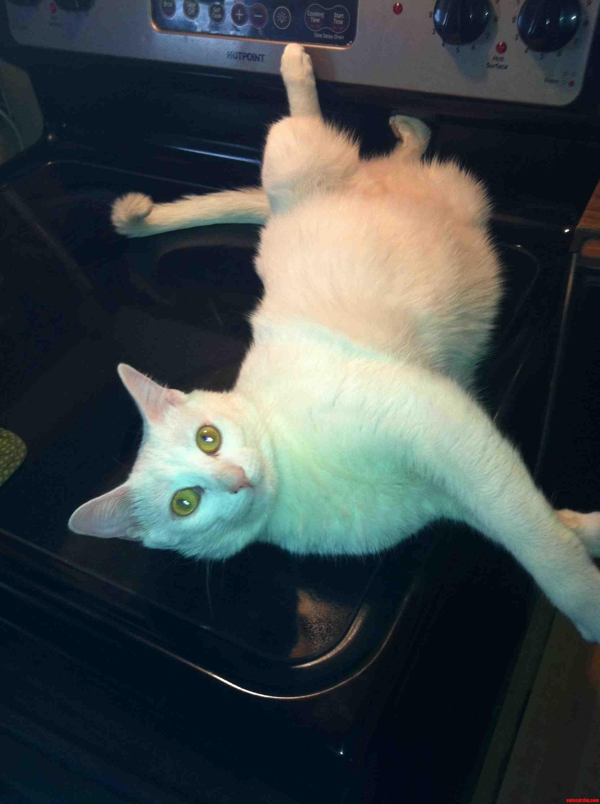 Happy Thanksgiving Always with the Stove