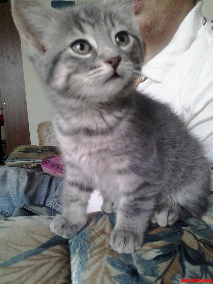 Hard to Believe This Cutie Hasnt Found a Home Yet