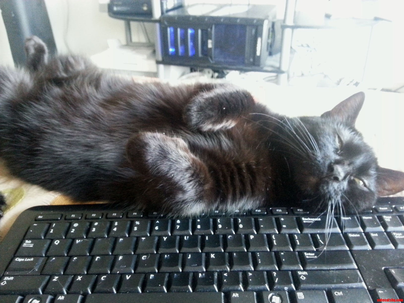 He Does This All the Time. Its Unfortunate When He Rolls Over.