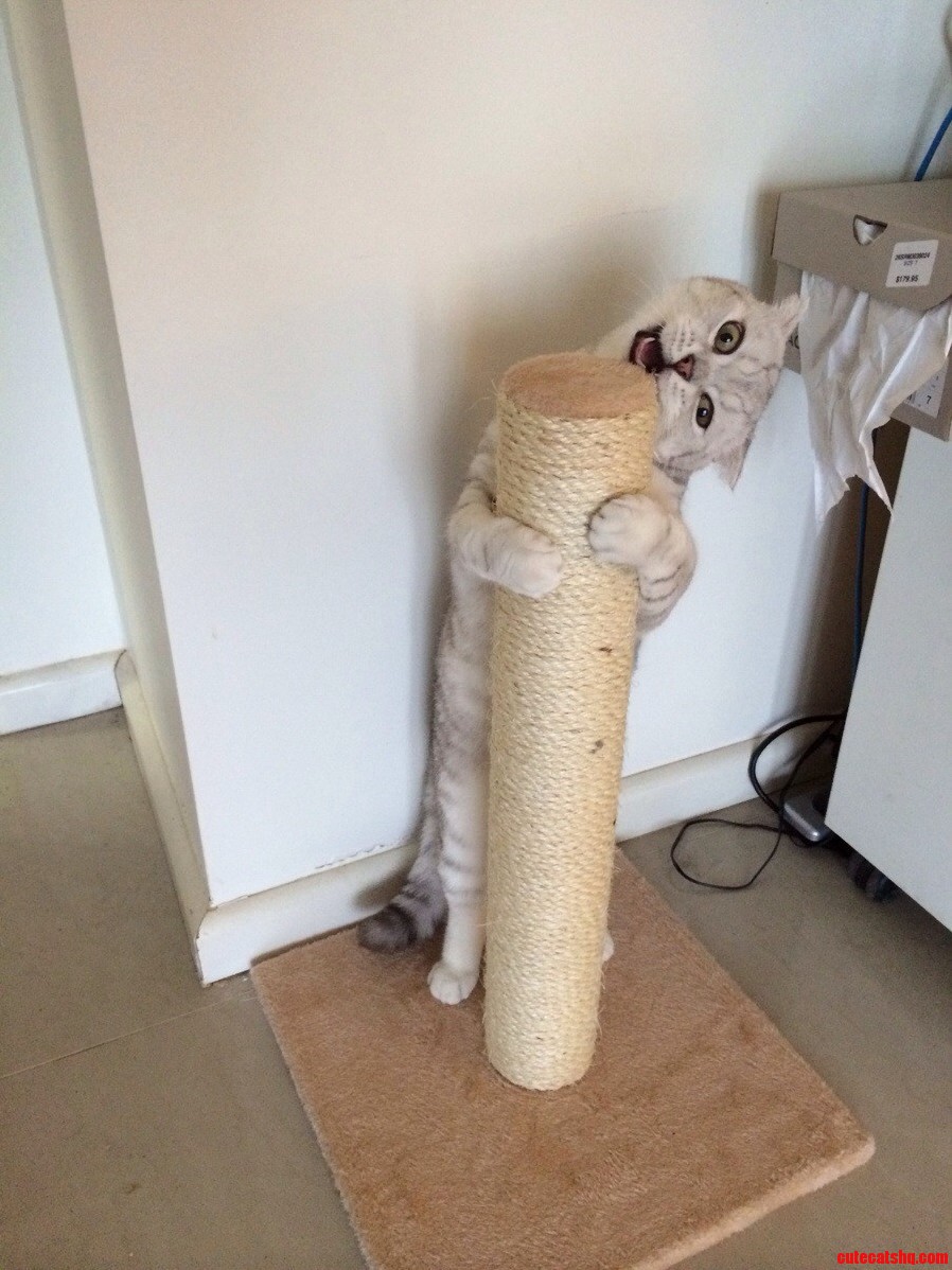 He Has Not Let Go of His Christmas Present for 30 Minutes...