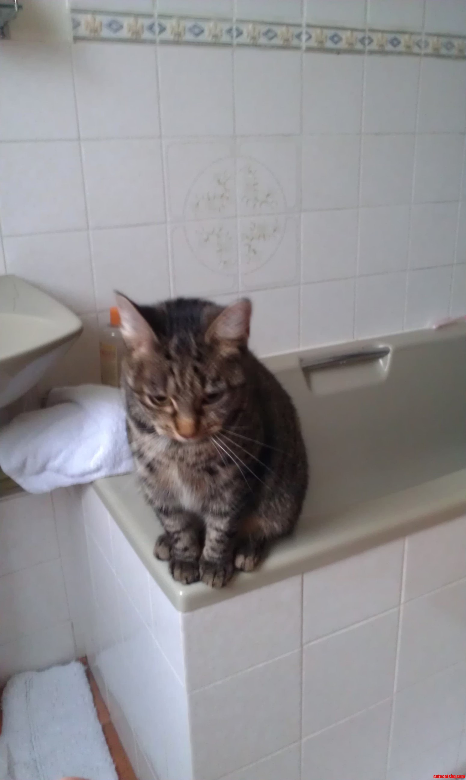 He Likes to Watch Me Pee