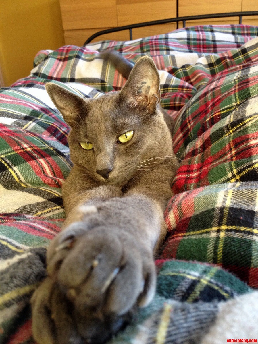 He Loves Snuggling with Mom