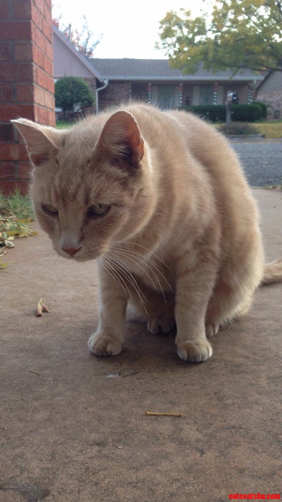 He May Be Getting Old but I Still Love Him