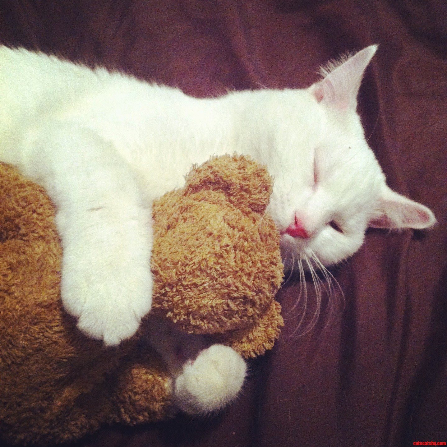 He Never Cuddles Me Like That...