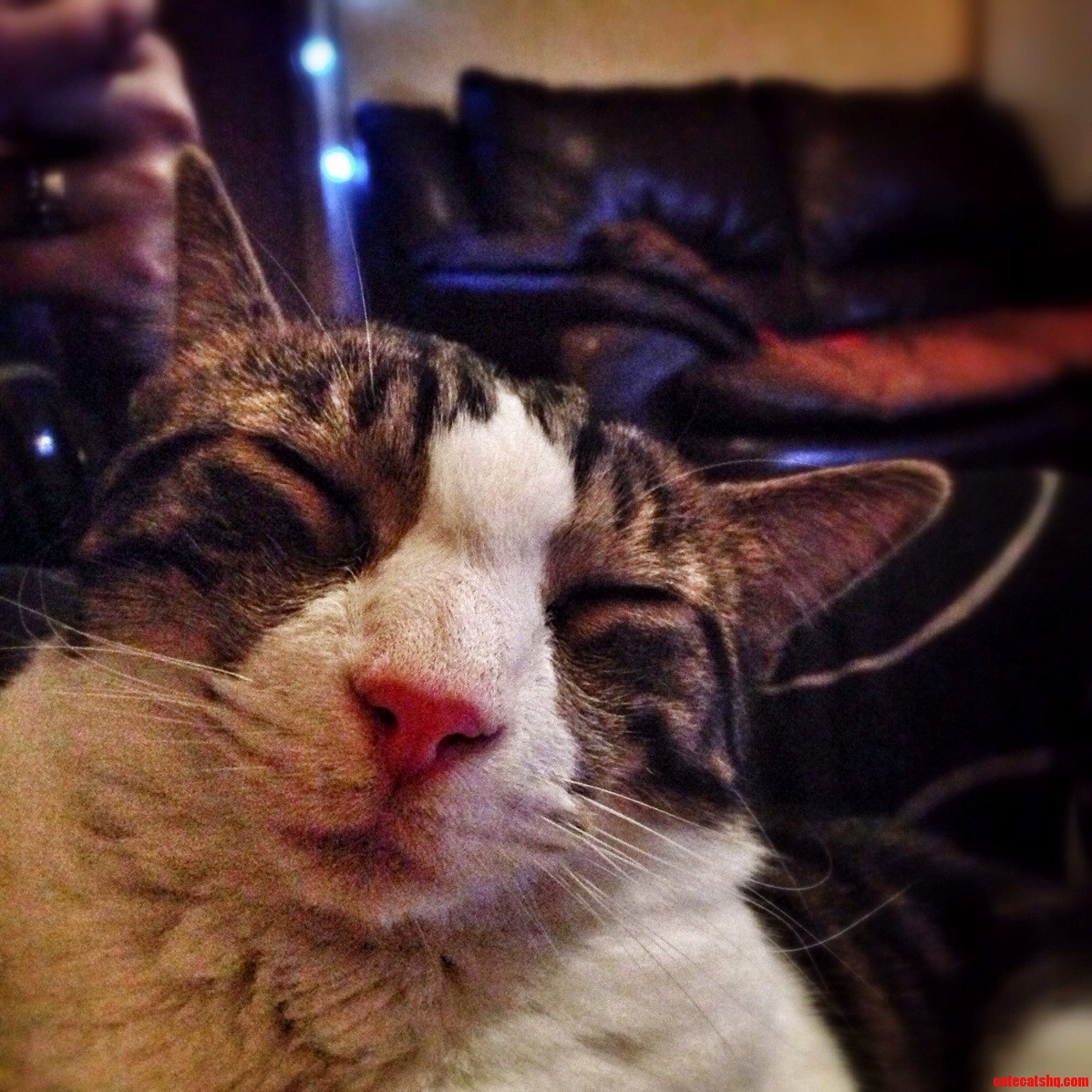 He Went Full Derp