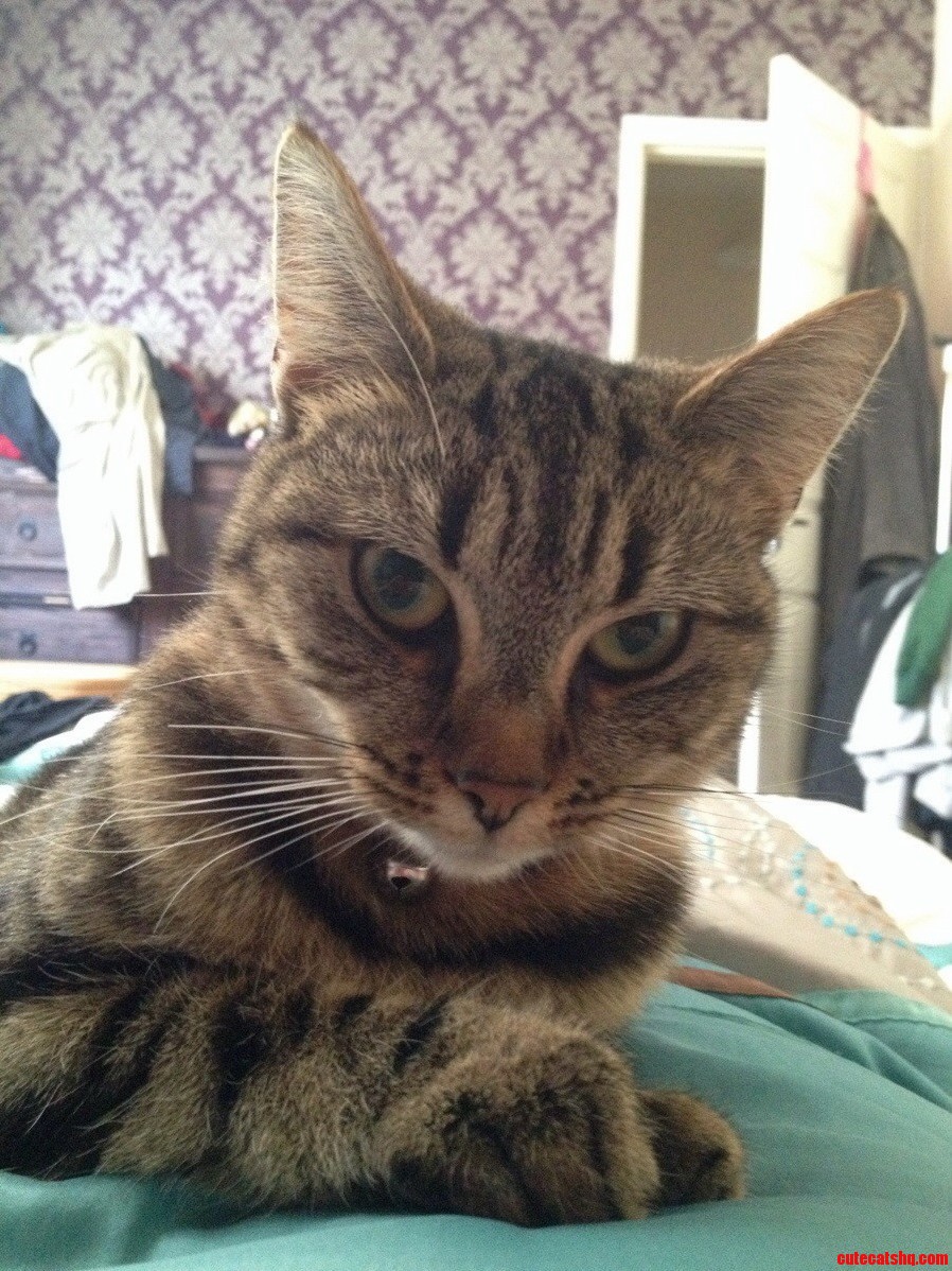 Her I Want a Cuddle Face Looks Very Much Like Her I Want to Kill You Face.