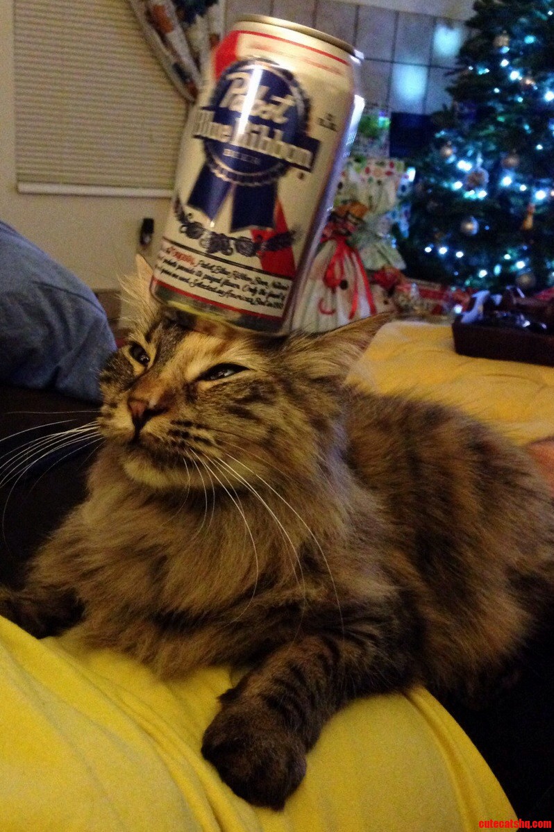 Her Sense of Balance Is Impeccable