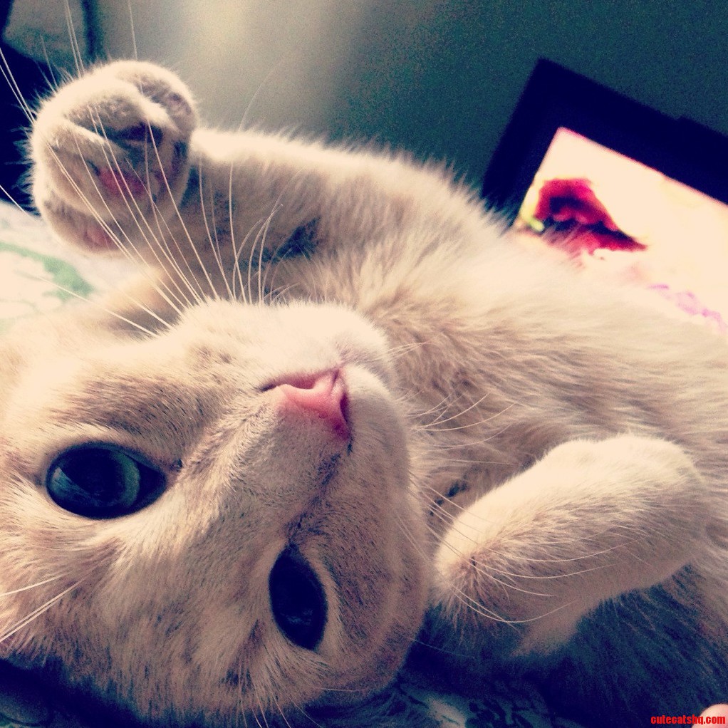 Hes a Little Prince