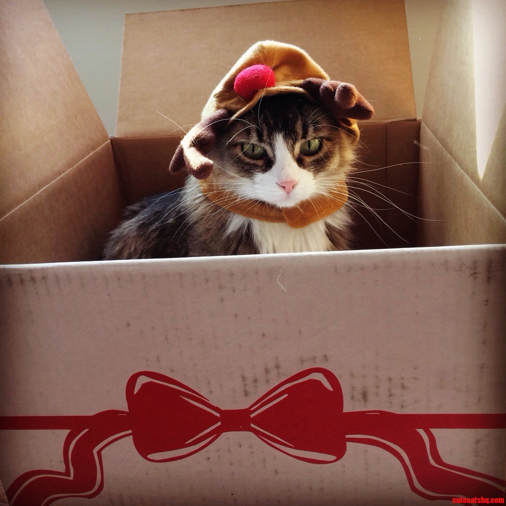 Hes All Ready for Shipping. Anybody Want Him