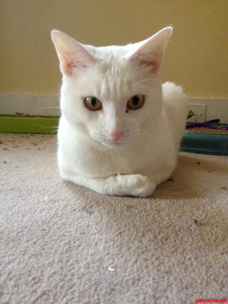 Hes Quite Casual
