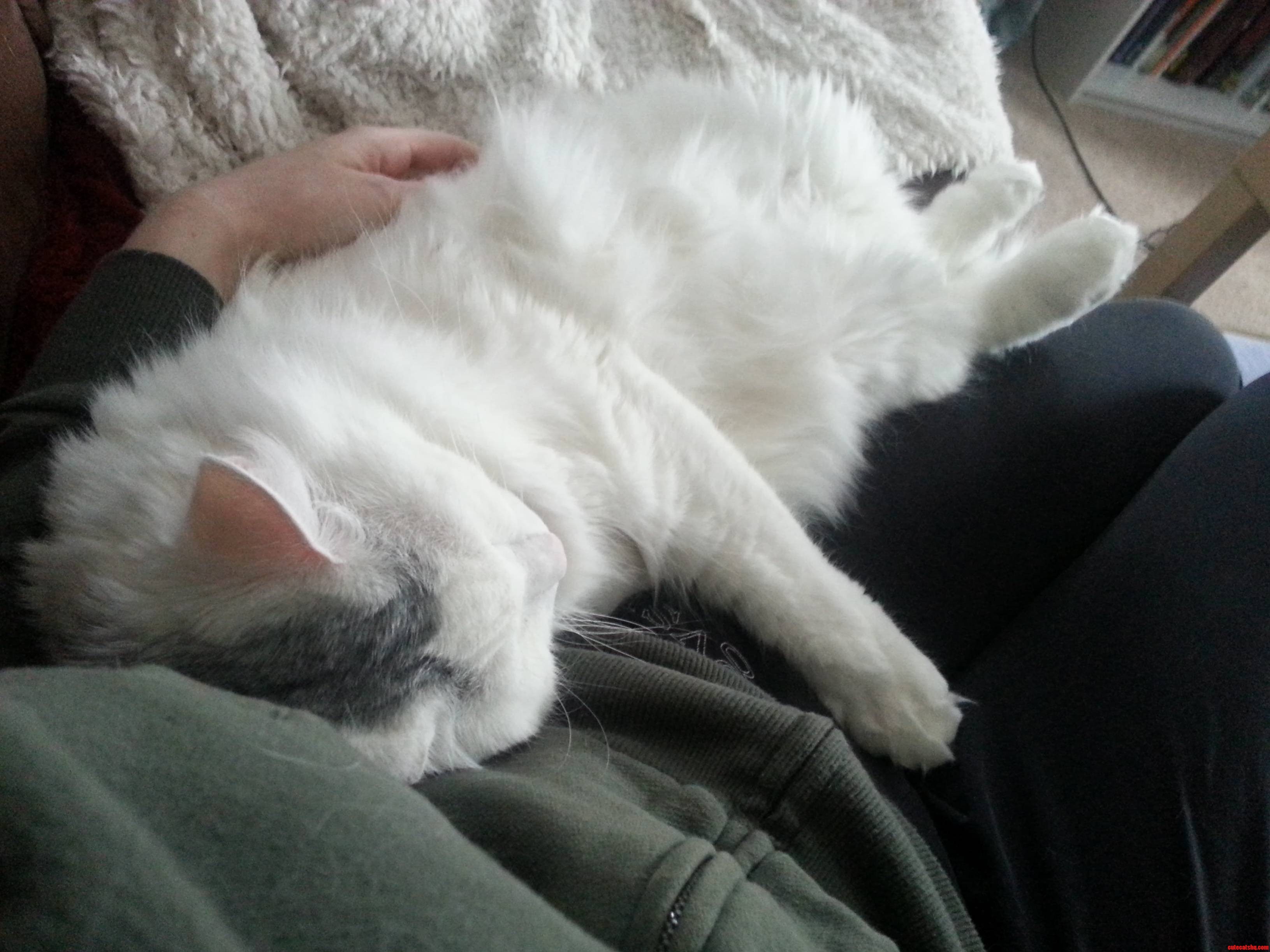 Hes Such a Little Snuggler.