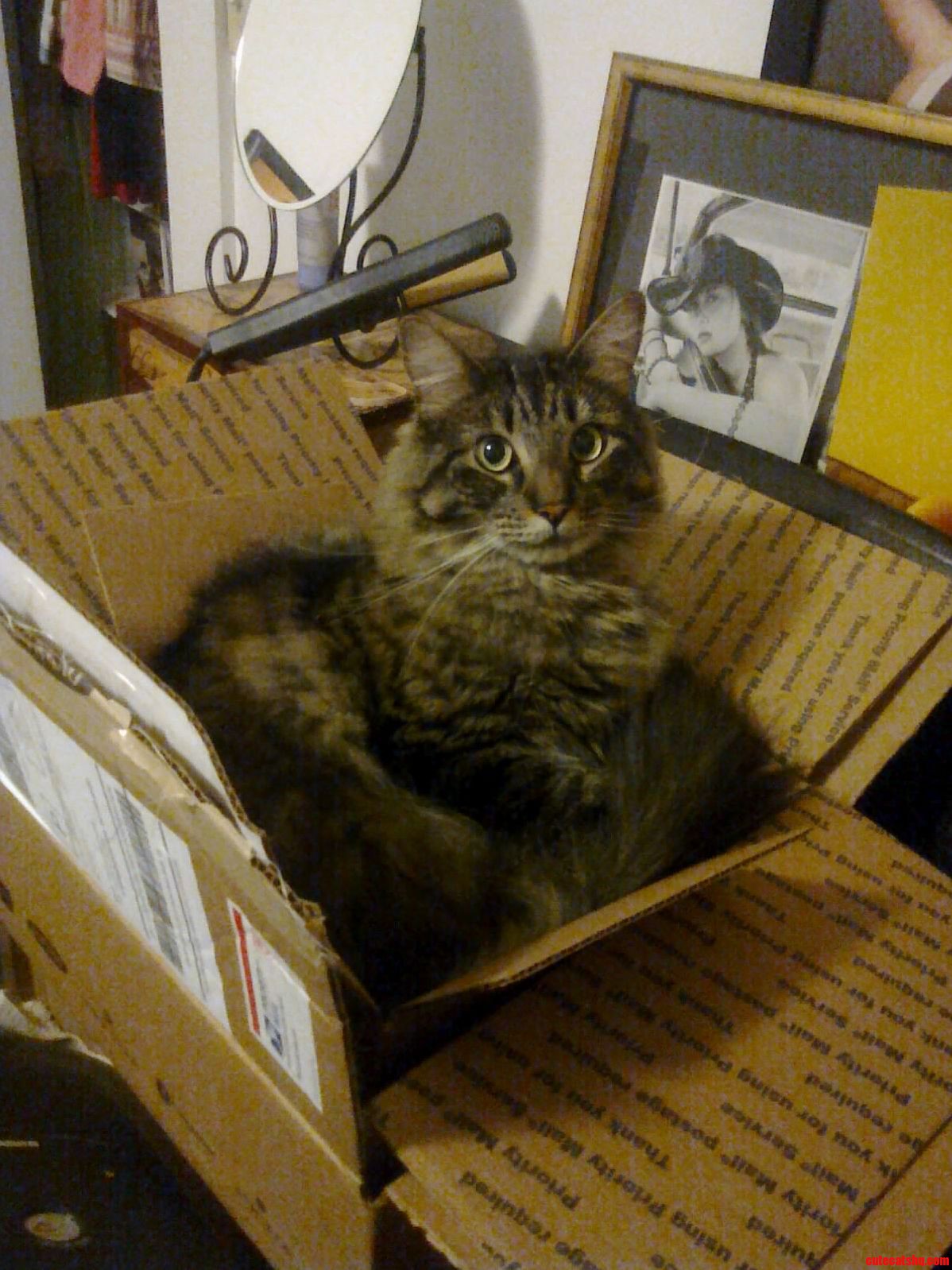 Hey This Is Elliott. She Has No Idea What Shes Doing.