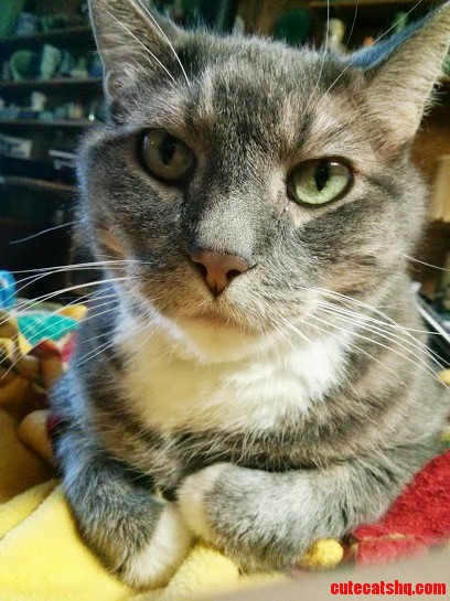 Hi Guys I Am 11 Today