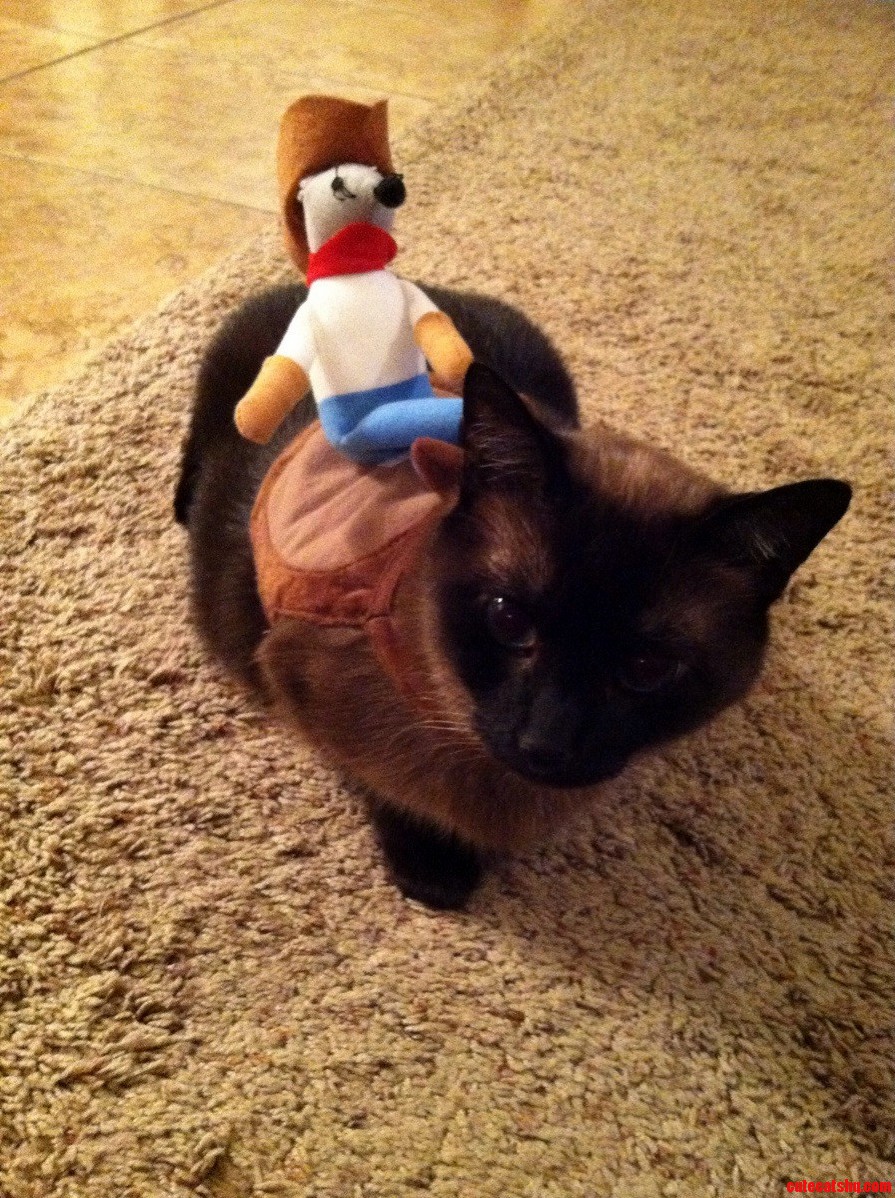 His Dark Passenger...