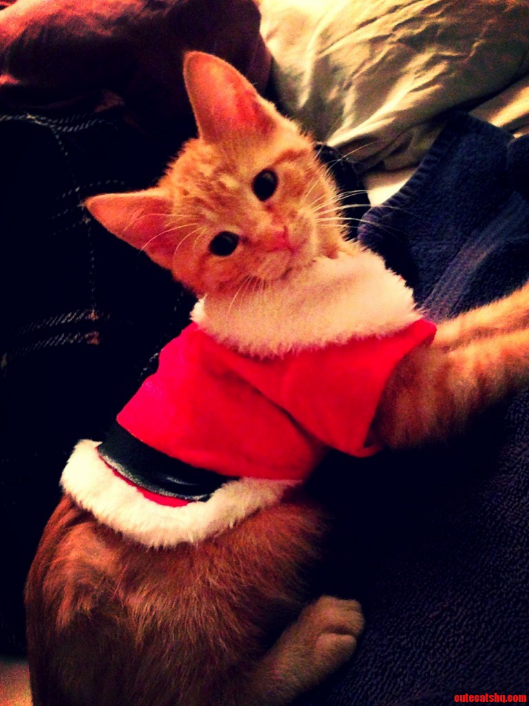 Hope Im Not to Late but Merry Christmas from My Personal Santa