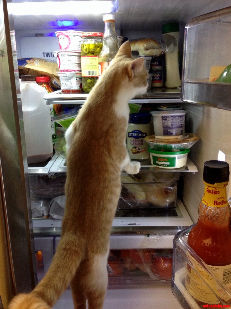 How Are We Out of Ketchup