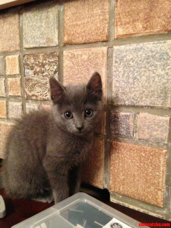 How Can You Not Love That Face