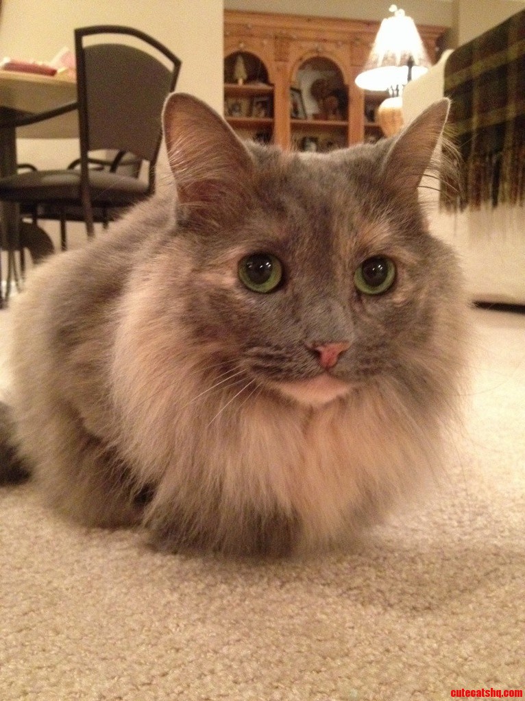 I Am Always Stunned by Her Beauty.