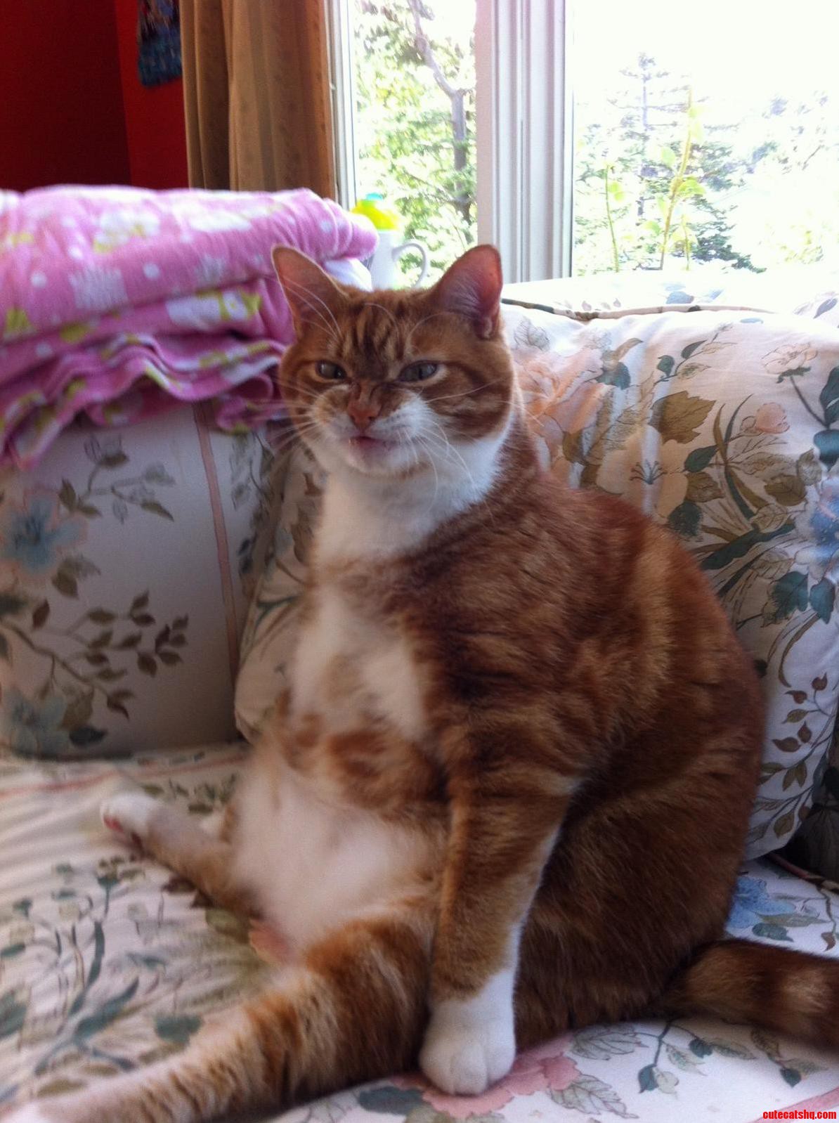 I Dont Think It Likes Its Picture Taken...