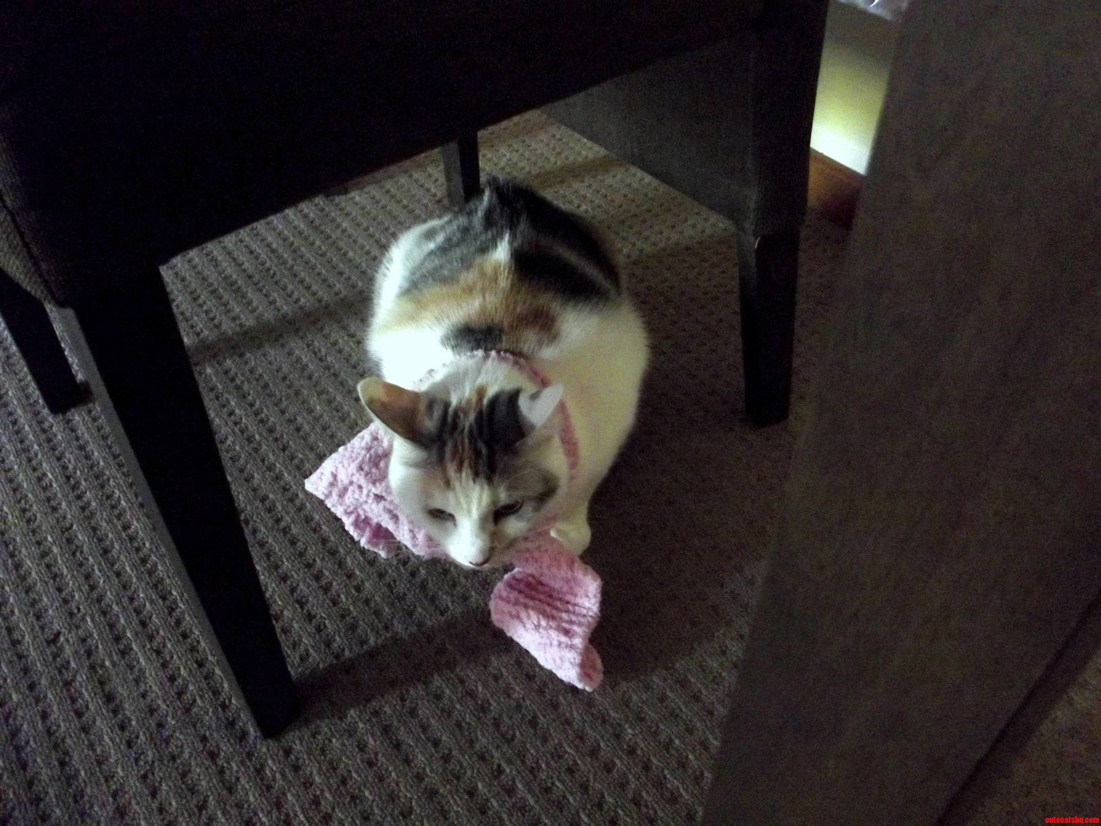 I Found a Photo of Lady Lexus Wearing the Scarf I Knitted for Her