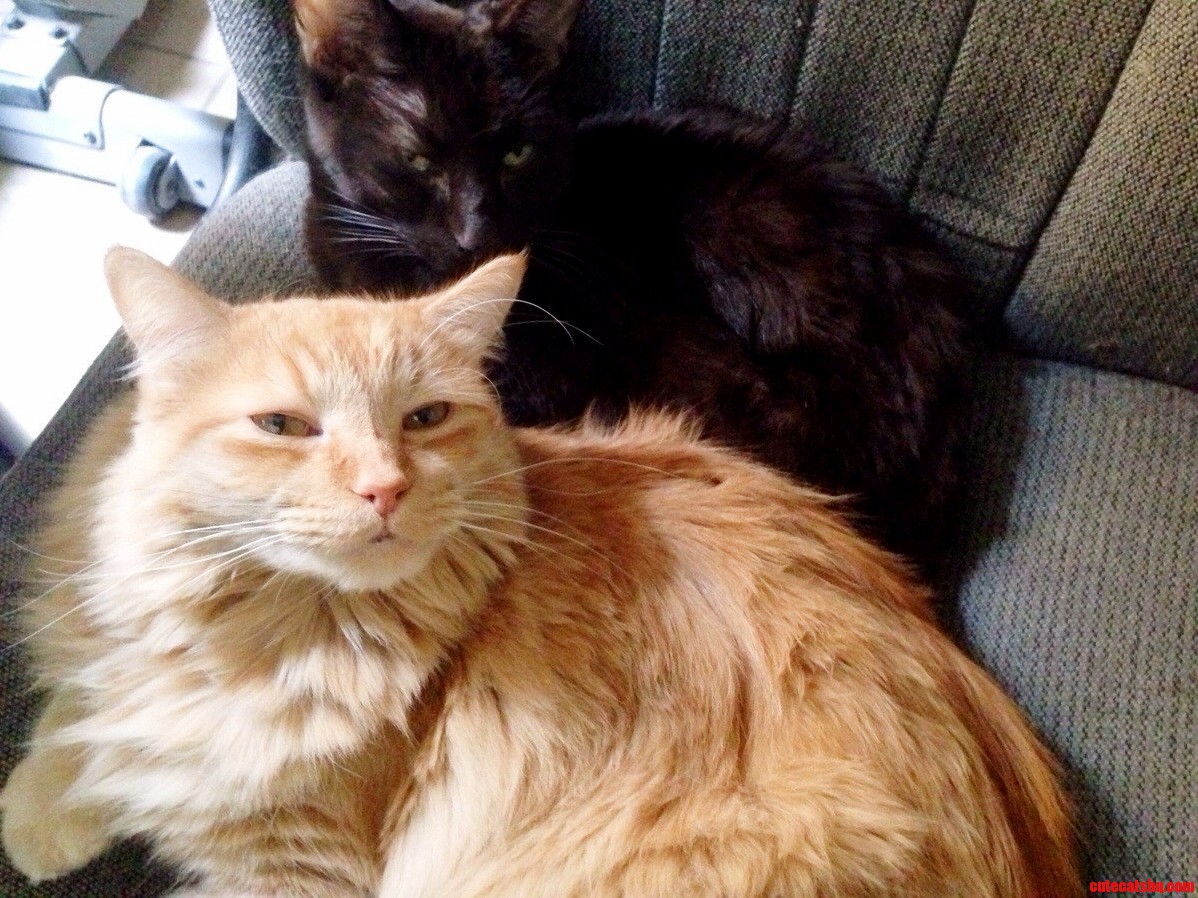 I Guess I Dont Need to Use the Computer Today.