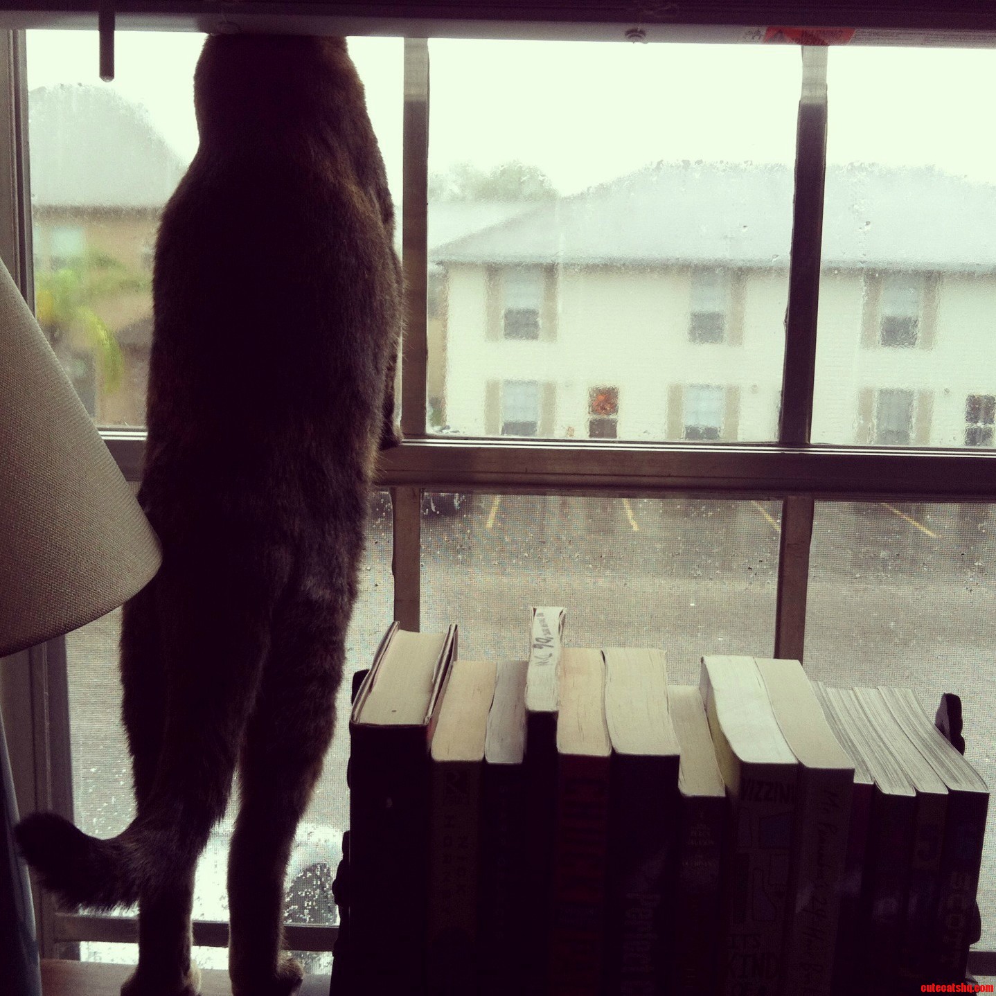 I Guess Im Not the Only One Who Wishes They Could Go Outside Today...