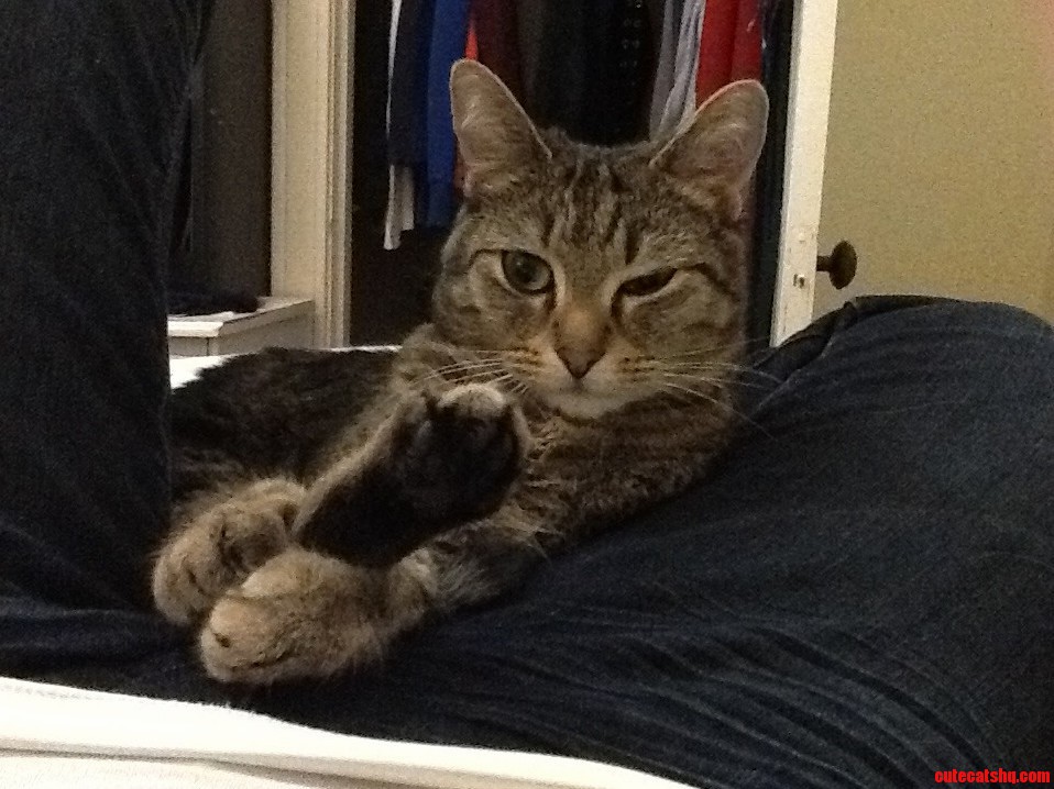 I Has a Foot