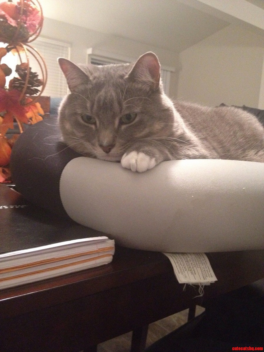 I Like Having a Study Buddy.