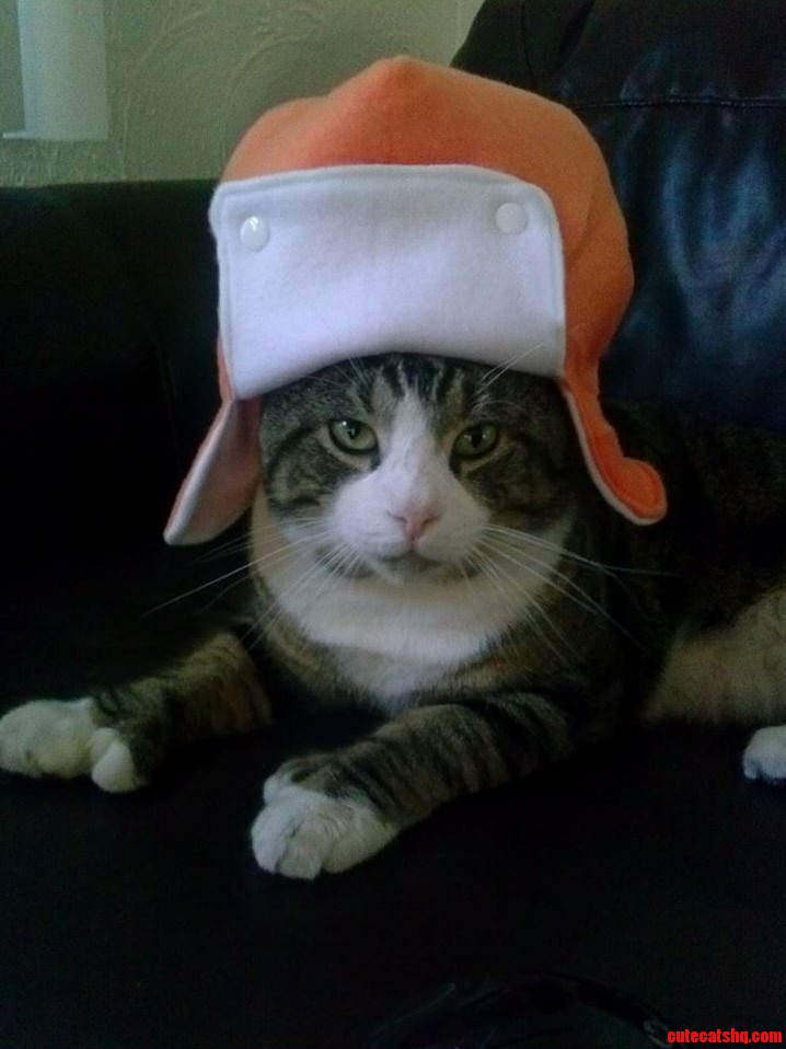 I Made My Daughter a Hat but She Was Napping When I Finished So Busey Modeled It for Me.