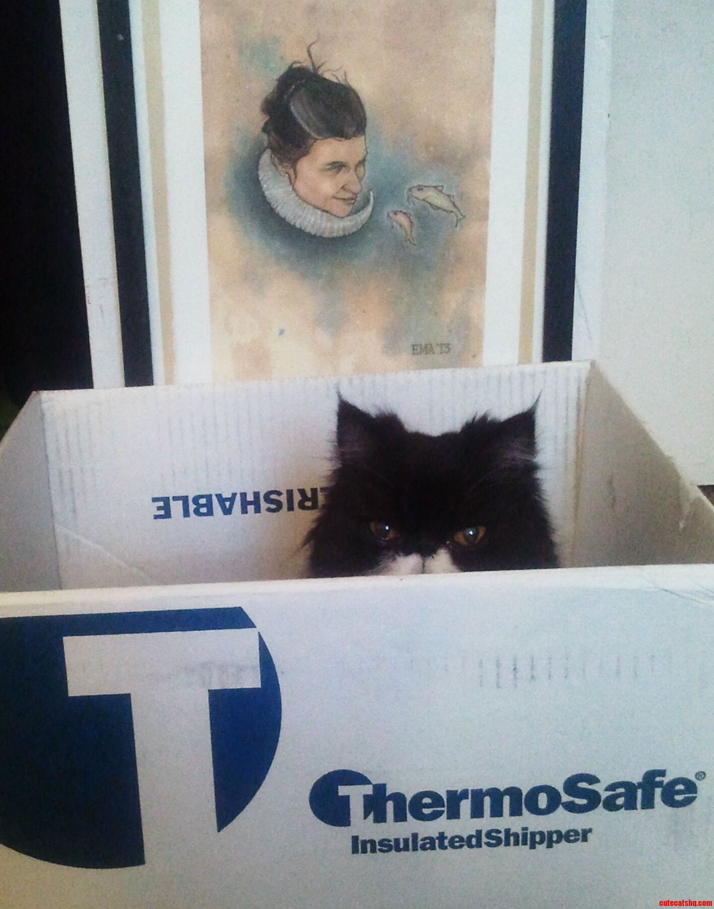 I Moved Her Favorite Box Up to the Bedroom.