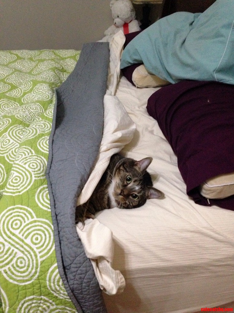 I Sleep Like Human