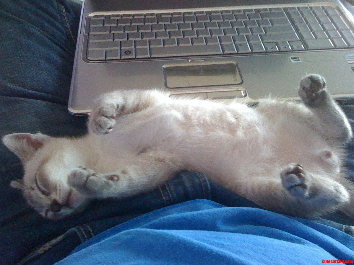 I Suppose Video Games Can Wait...