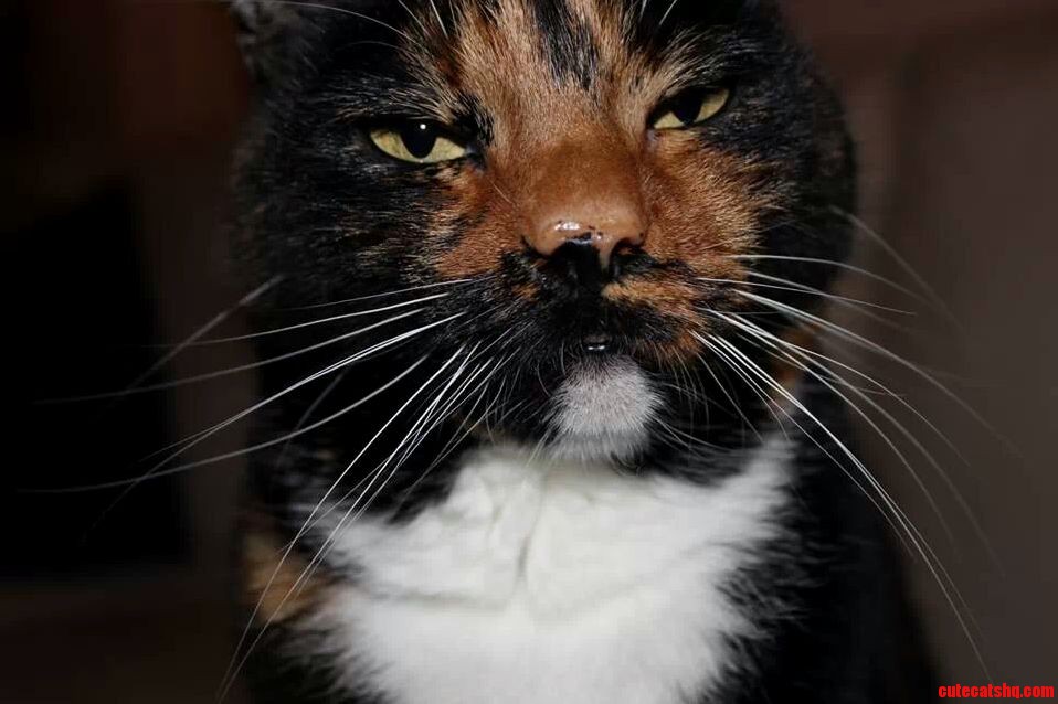 I Swear This Is Her Sober Face.