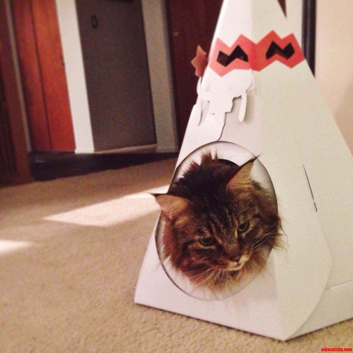 I Think Rigby Is Enjoying His First Night of Hanukkah Present.