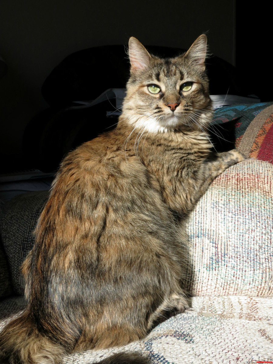 I Think She Is Majestic