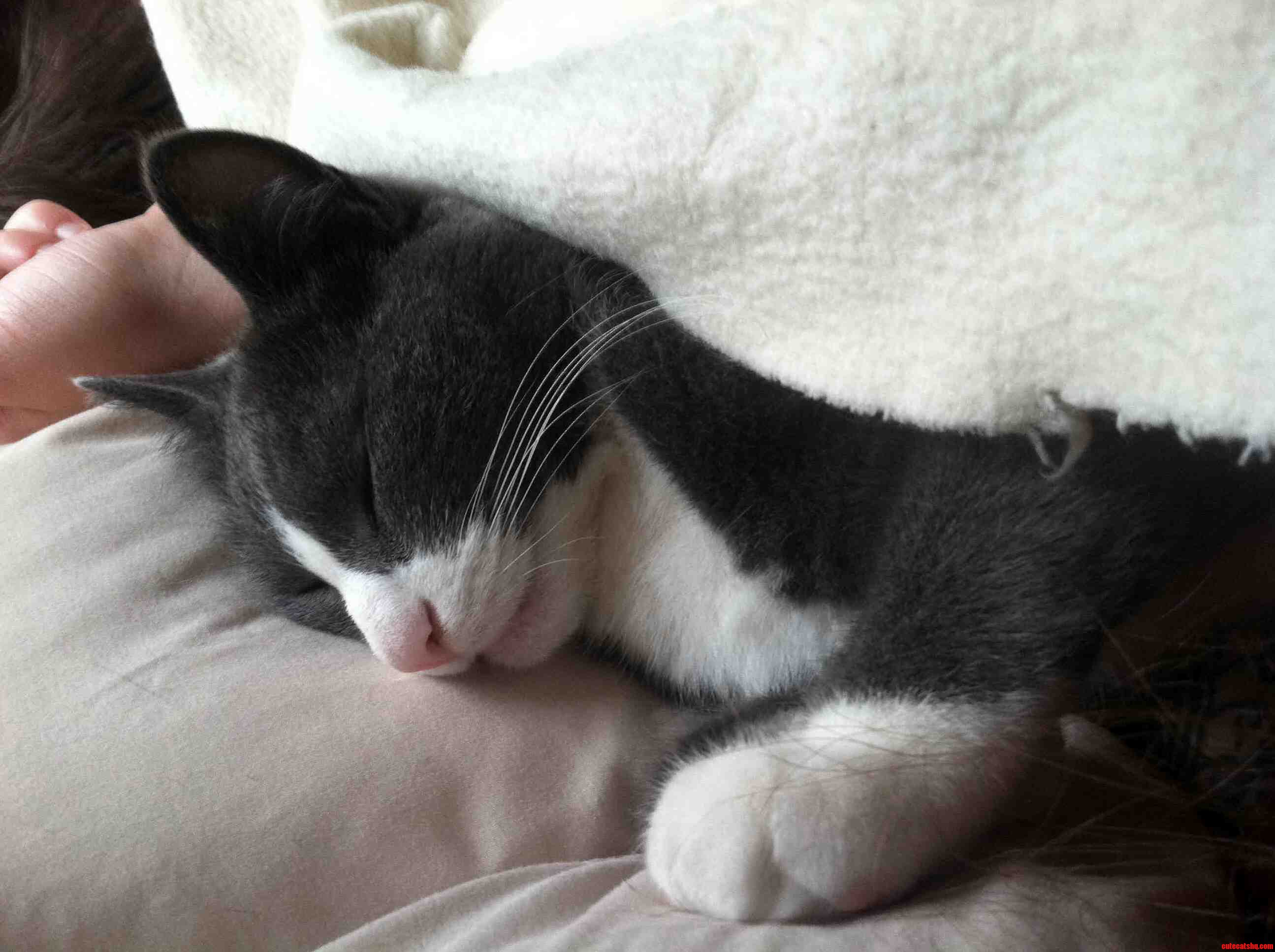 I Wake Up to This Every Morning.