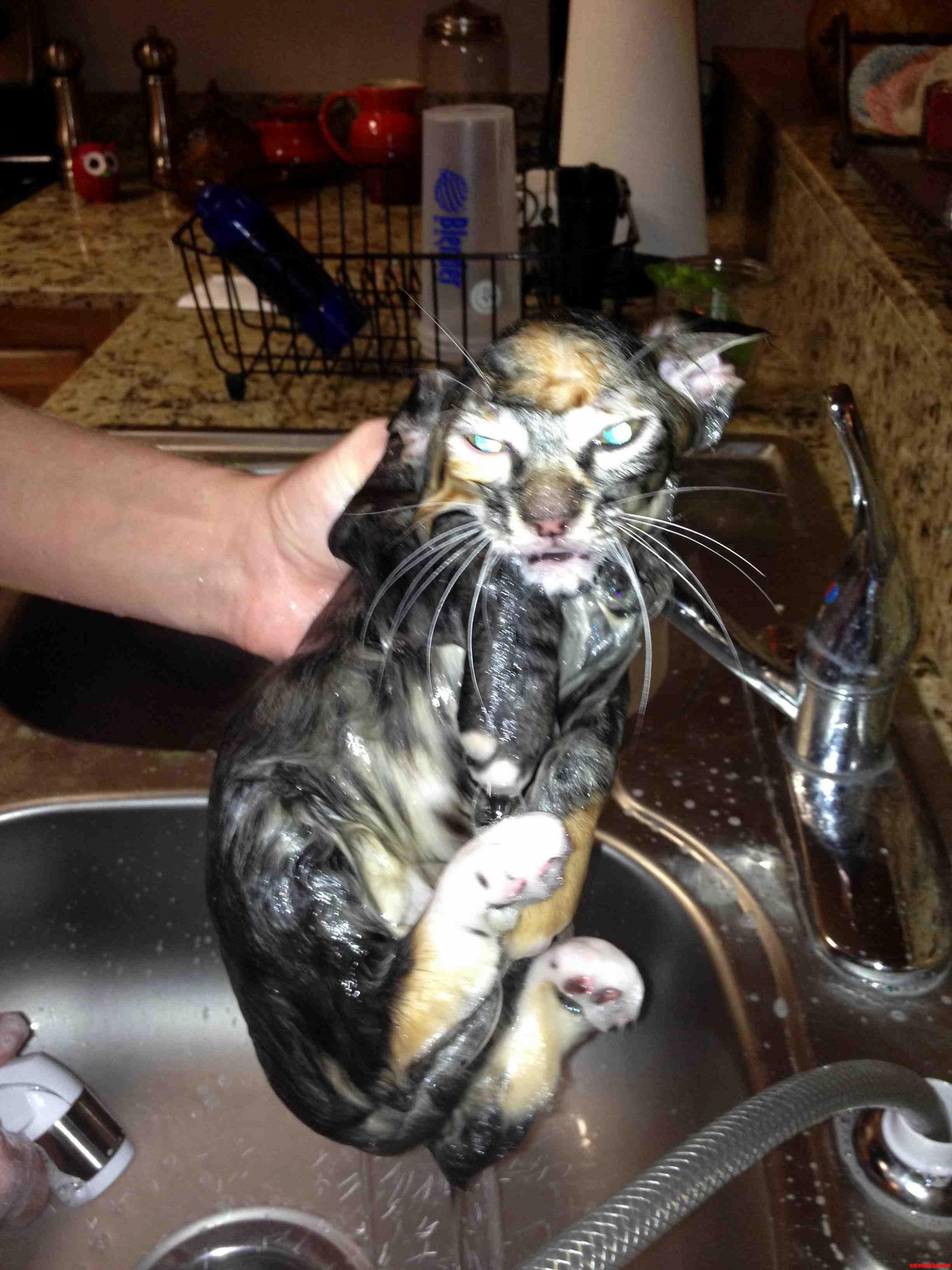 I Will Kill You in Your Sleep Human...