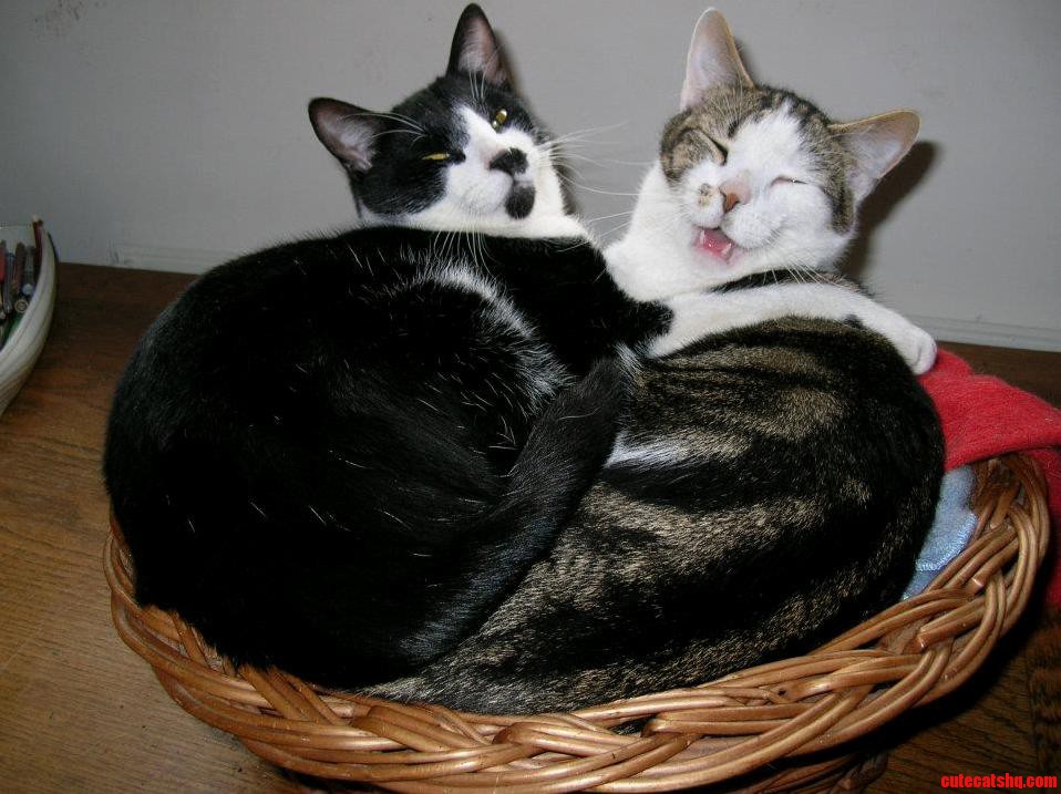 If I Fits I Sits X2
