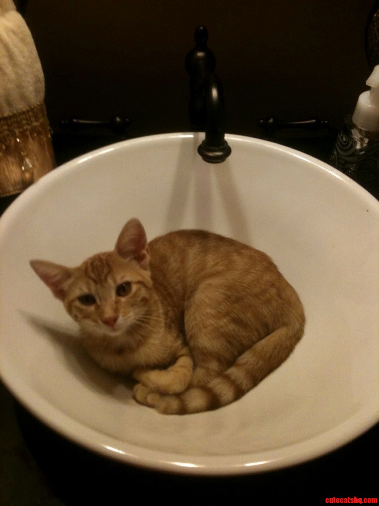 If I Fits.... You Cant Wash Your Hands