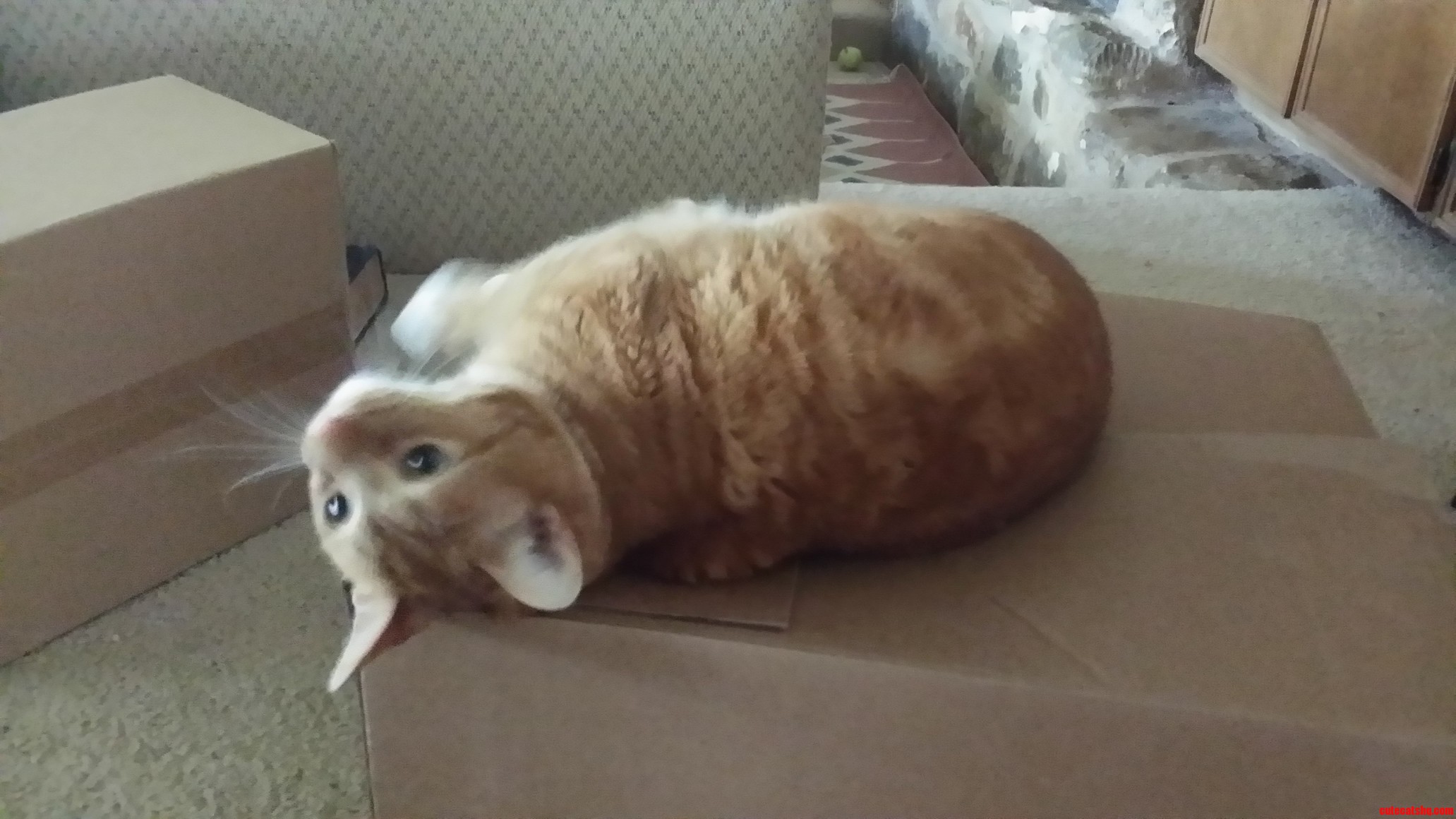 If It Doesnt Fits I Sits on Top.