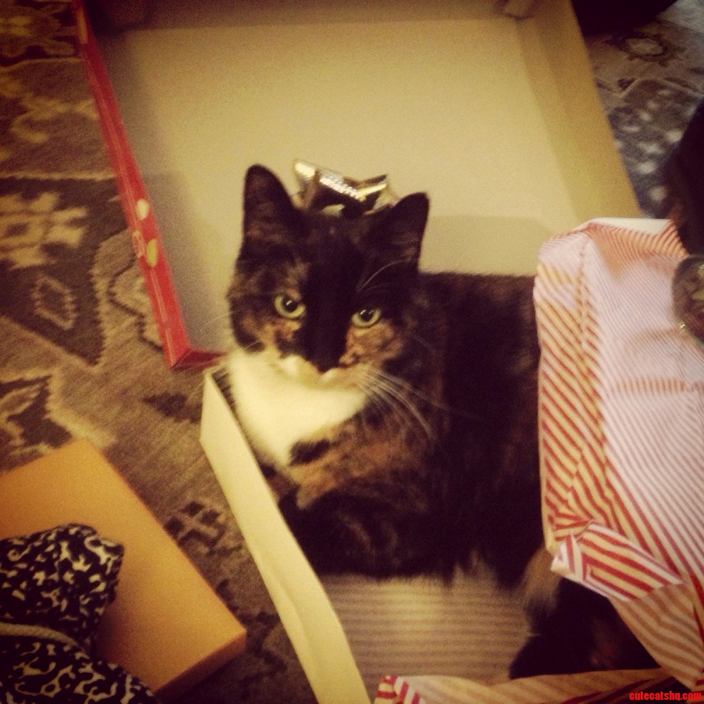 If It Fits