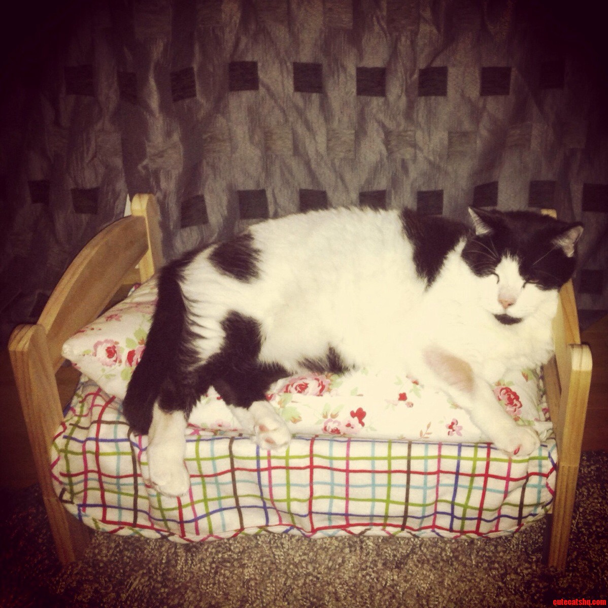 Ikea Sold It As a Dollys Bed. I Think It Works Better This Way